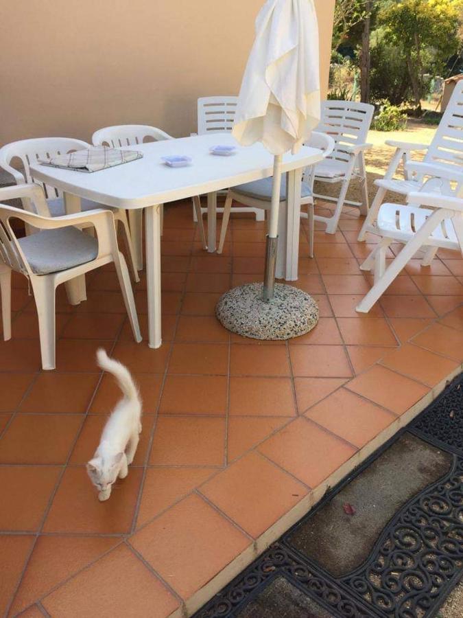 Casa Maltinu Villa Santa Teresa Gallura Bagian luar foto