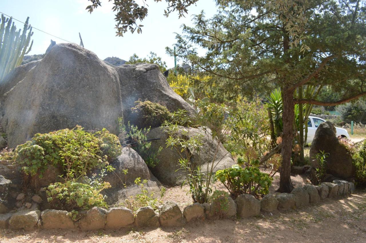 Casa Maltinu Villa Santa Teresa Gallura Bagian luar foto