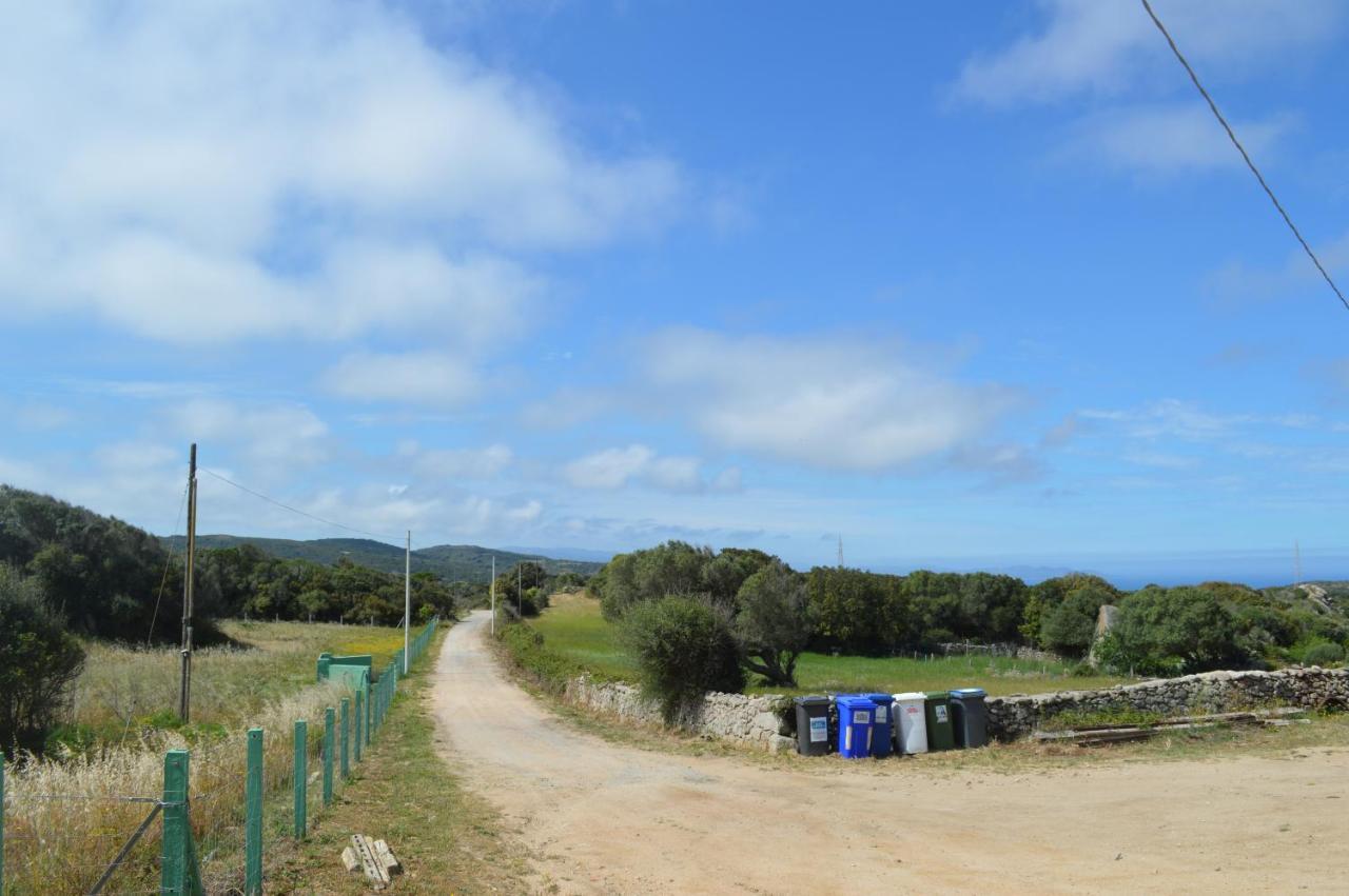 Casa Maltinu Villa Santa Teresa Gallura Bagian luar foto
