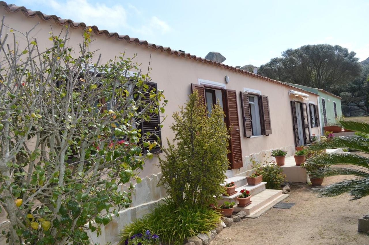 Casa Maltinu Villa Santa Teresa Gallura Bagian luar foto