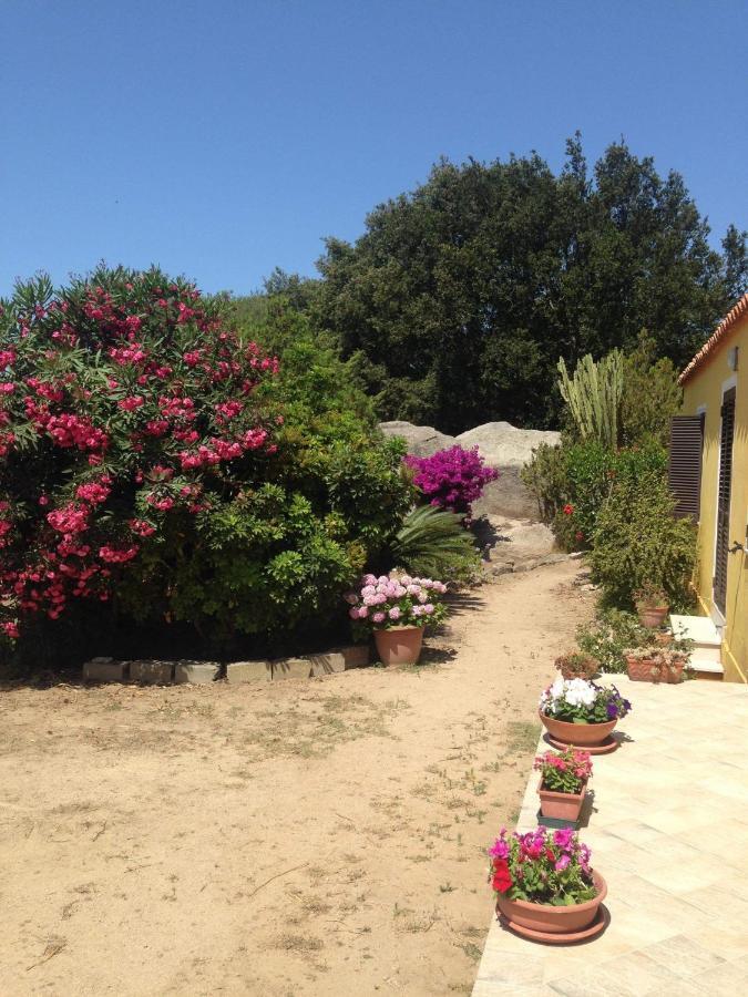 Casa Maltinu Villa Santa Teresa Gallura Bagian luar foto